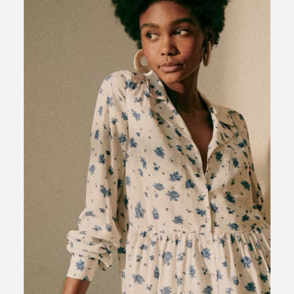 Sezane Aurora Dress 34 in blue roses